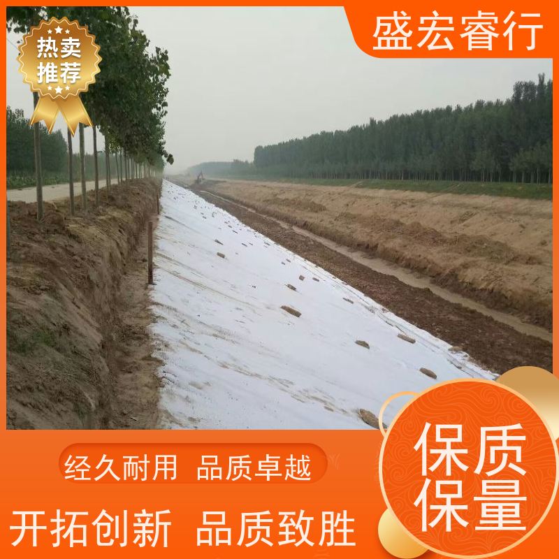 盛宏睿行 PP土工布  人工湖防渗 景观水池防水布 定制