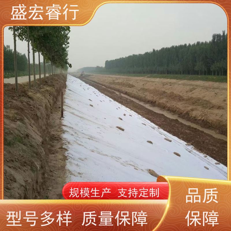 盛宏睿行 FNG土工布  长丝纺粘 水利工程防渗隔离布