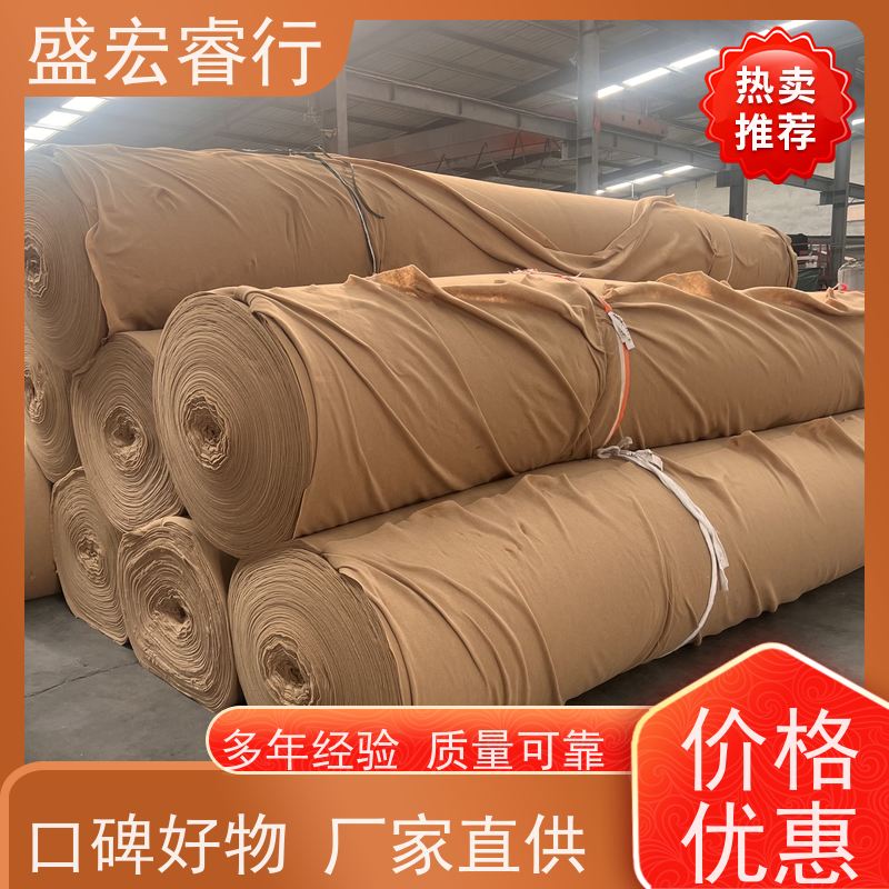 盛宏睿行 SNG土工布  纺粘长丝 高强 隧道排水过滤工程布