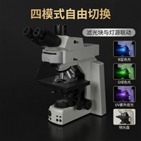 TL53 科研级微生物荧光显微镜