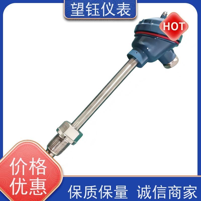 望钰 抗干扰 Pt100温度传感器 冶金冶炼 生产厂家