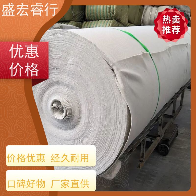 盛宏睿行 涤纶土工布  边坡防护 山体护坡固土无纺布 公路养护