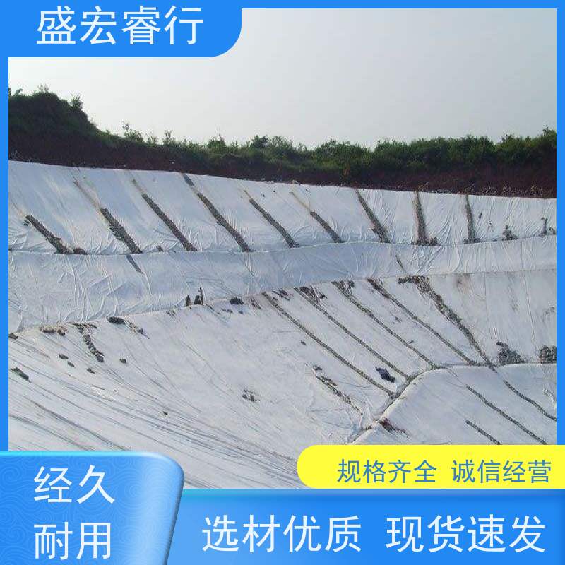 盛宏睿行 果园灌溉渠 果树种植节水防渗  复合膜 两布一膜防水土工布