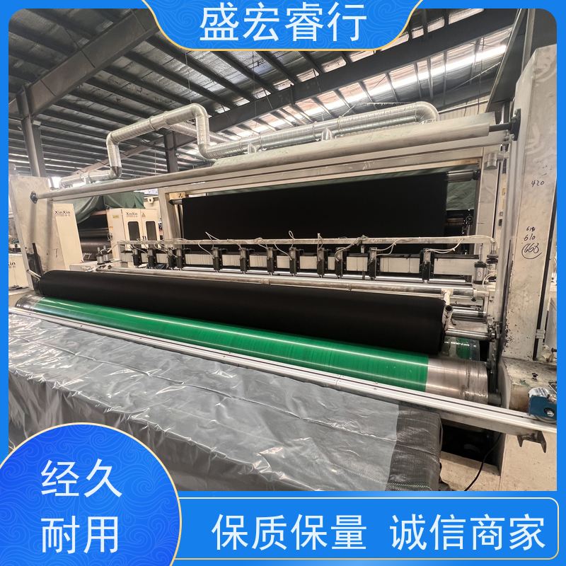 盛宏睿行 PP土工布  垃圾填埋场 防渗隔离过滤布 国标