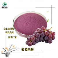 葡萄果粉 食品级 葡萄果汁粉 陕西润泽鑫启