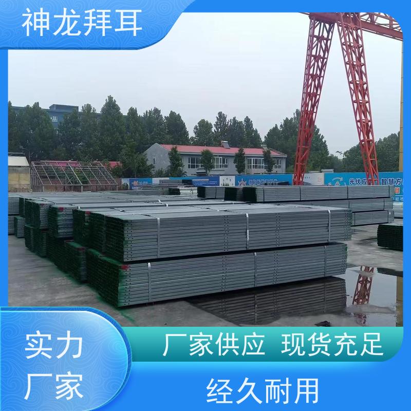 河北神龙拜耳 光伏支架厂家报价 快速响应 批发