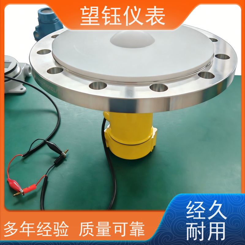 望钰一体式YPRD80双缆雷达液位计 食品储罐生产厂家