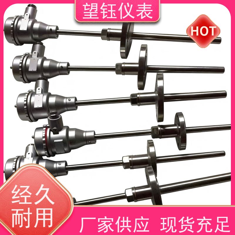 望钰 可定制 WRP耐高温热电偶 石油石化 生产厂家