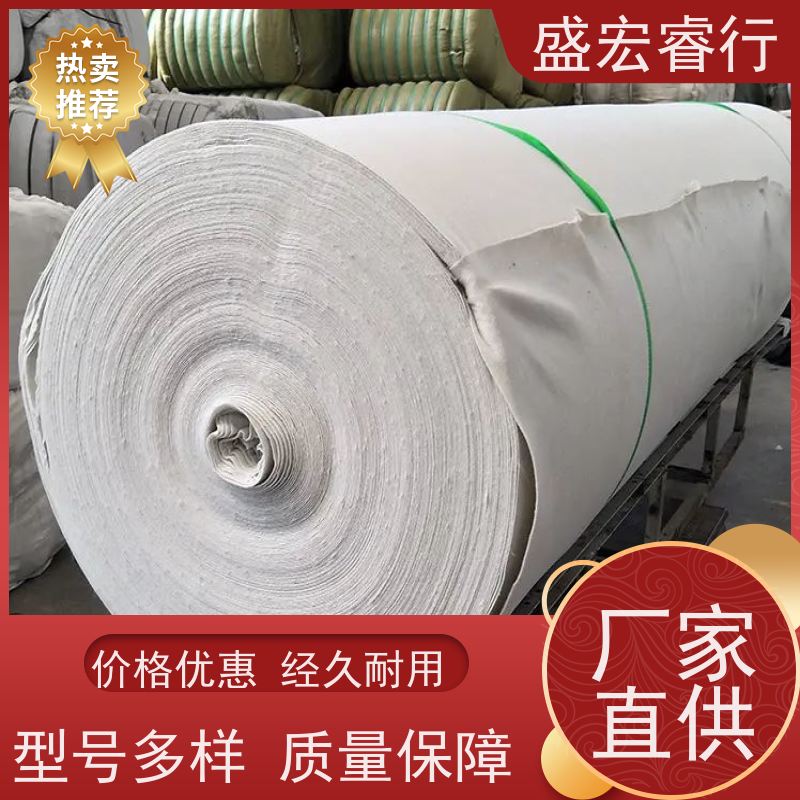 盛宏睿行 涤纶土工布  针刺无纺 短丝 人工湖鱼塘护坡过滤布