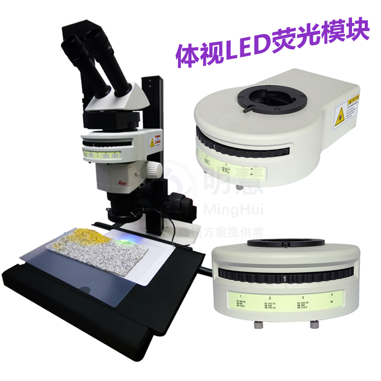 蔡司V20 观察 双目体视显微镜荧光升级模块