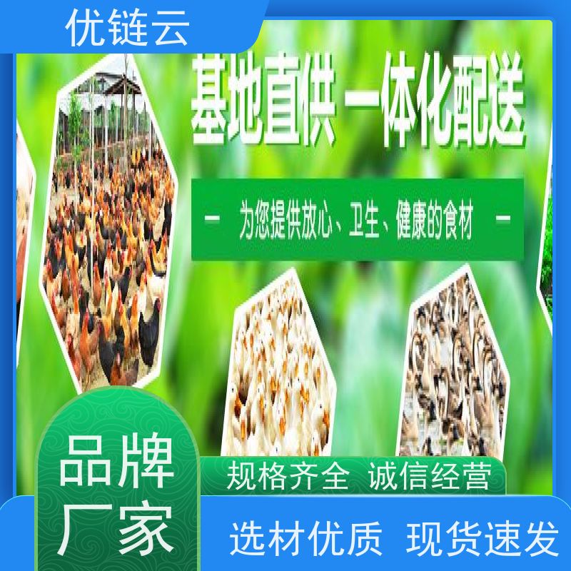 绿【蔬菜配送】优链云时蔬宅配智能温控系统 有机农场直供 可降解冰袋