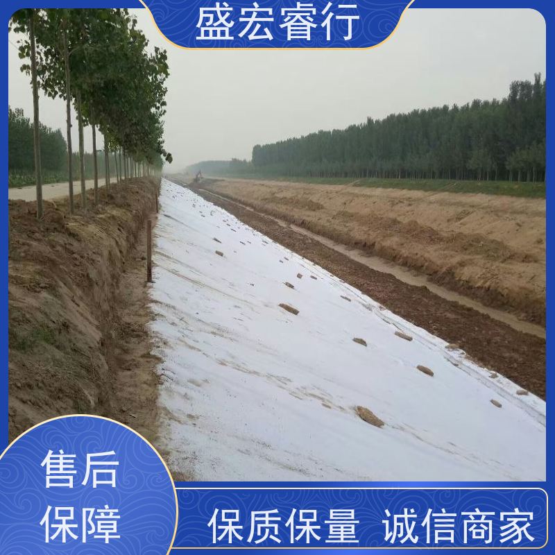 盛宏睿行 PET土工布  黑色 工程施工隔离加固防尘布