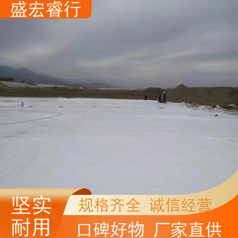 盛宏睿行 软土地基处理 隔水加筋加固防渗  PE土工膜 一布一膜