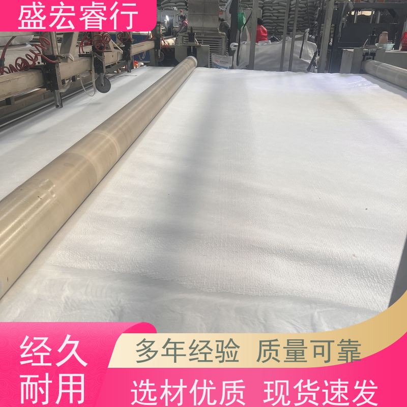 盛宏睿行 集水模块用 运动场高尔夫球场 草坪基层防渗保水  复合土工膜