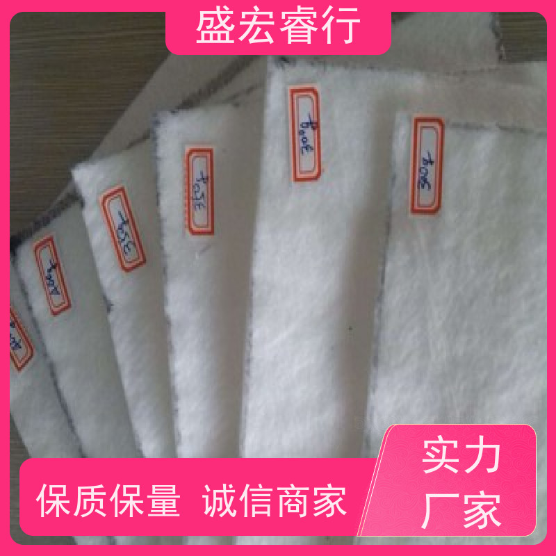 盛宏睿行 FNG土工布  垃圾填埋场 防渗隔离过滤布 国标