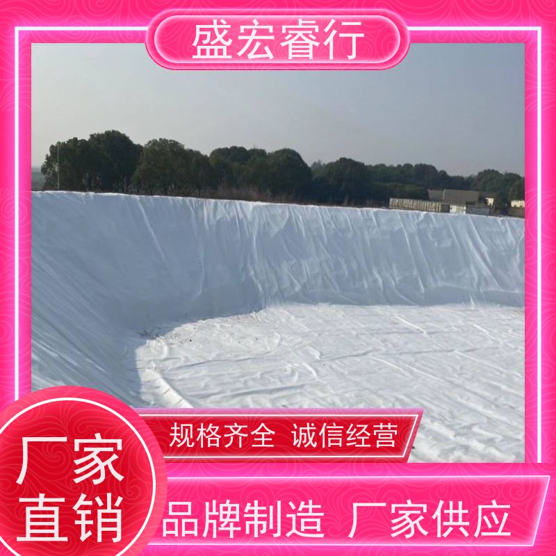 盛宏睿行 PET土工布  加膜 养殖池护坡防渗防水布