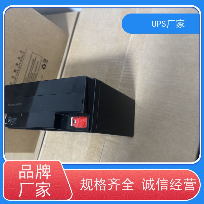 普华UPS电源 CASTLE-3K 在线式应急电源 具备完善报警机制 代理商