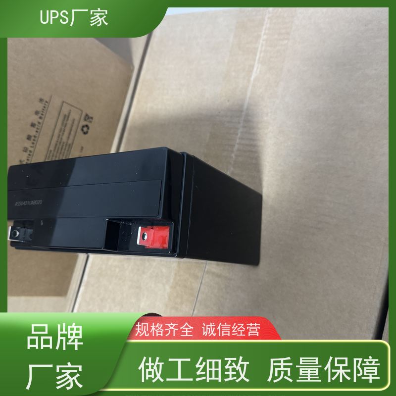 普华UPS电源 CASTLE-3K 高/工频机 50/60Hz 具备完善报警机制 总代理