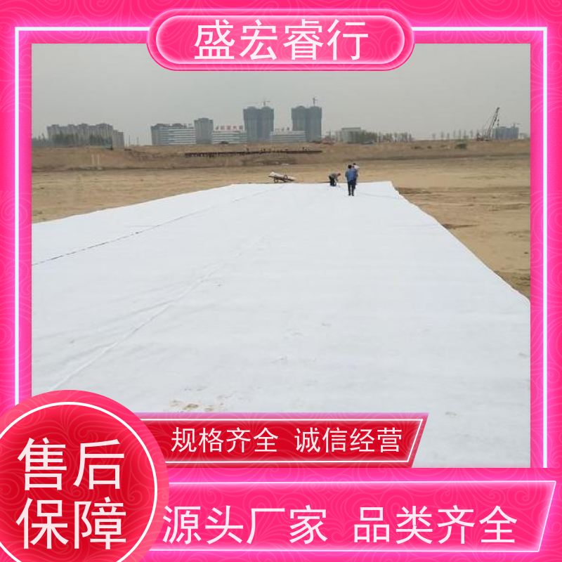盛宏睿行 丙纶土工布  防水 地下室防潮防渗无纺布 过滤布