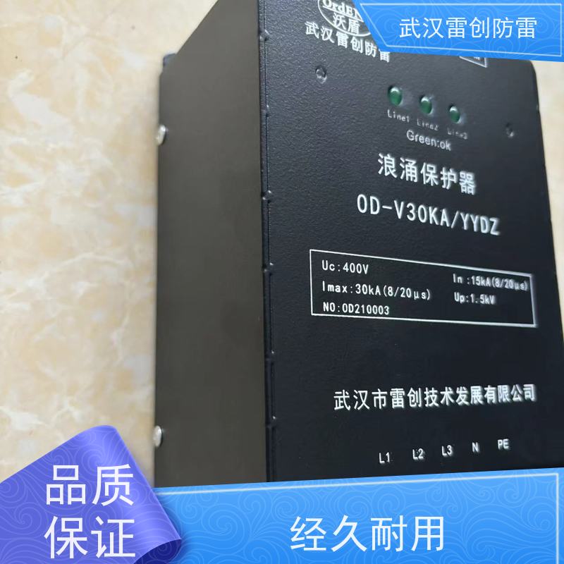可选远程遥信 单相220V悬挂式 直流电源防雷箱 雷创