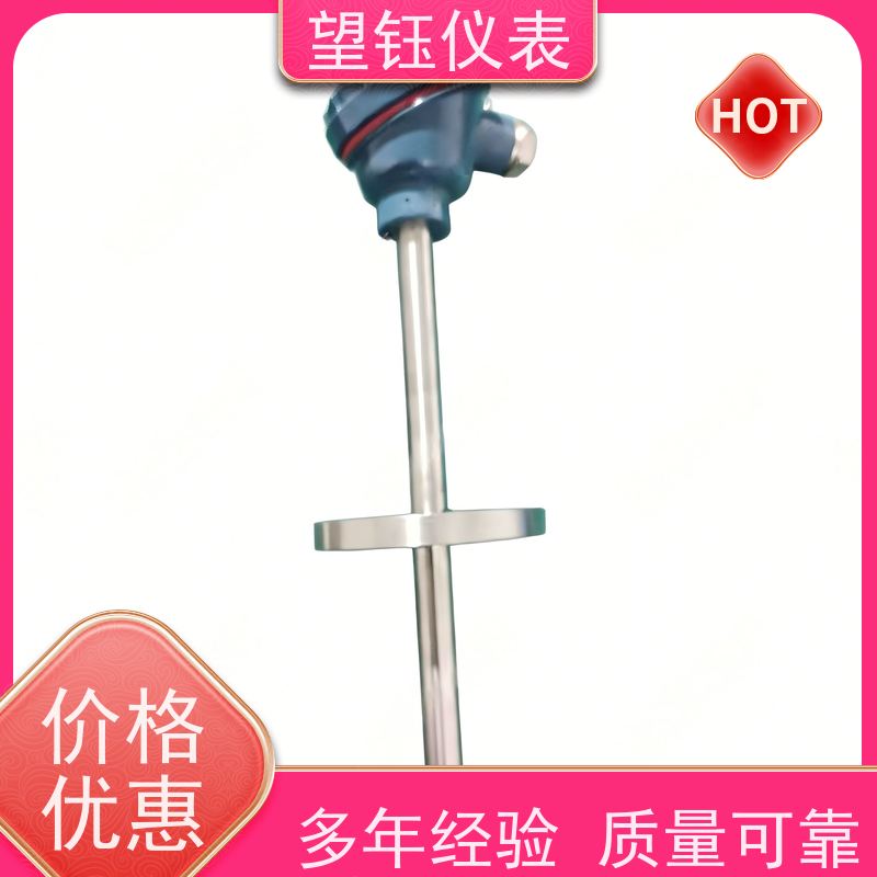 望钰 可定制 Pt1000探针热电偶 冶金冶炼 生产厂家