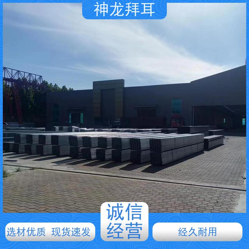 神龙拜耳 农业光伏支架 人性化设计 厂家