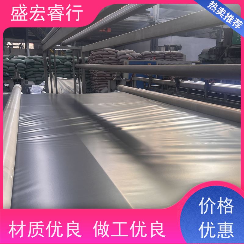 盛宏睿行 聚乙烯塑料薄膜 水产养殖防.渗.膜 加厚耐用不漏水 土工膜