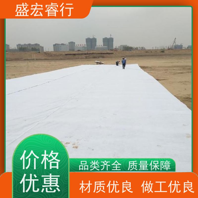 盛宏睿行 PET土工布  防水 地下室防潮防渗无纺布 过滤布