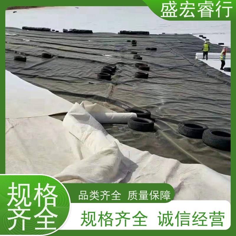 盛宏睿行 长丝复合膜 工业堆场环保防渗专用膜 PE土工膜