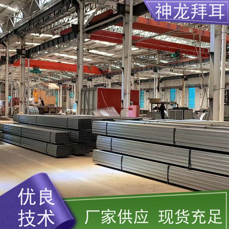 河北神龙拜耳 bipv光伏支架厂 厂 个性化定制