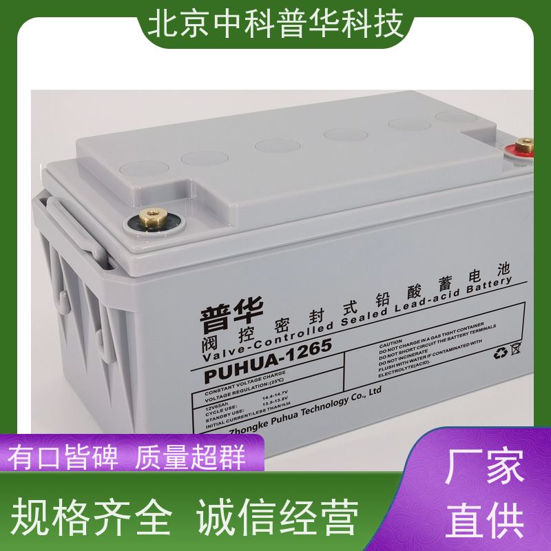 普华UPS电源 CASTLE-3C20KS 内置隔离变压器 具备完善报警机制 代理商