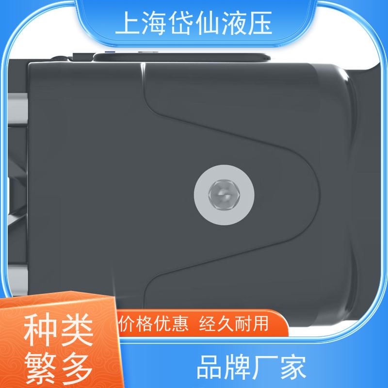 DANFOSS丹佛斯液压泵 421AK00088B 工程机械泵