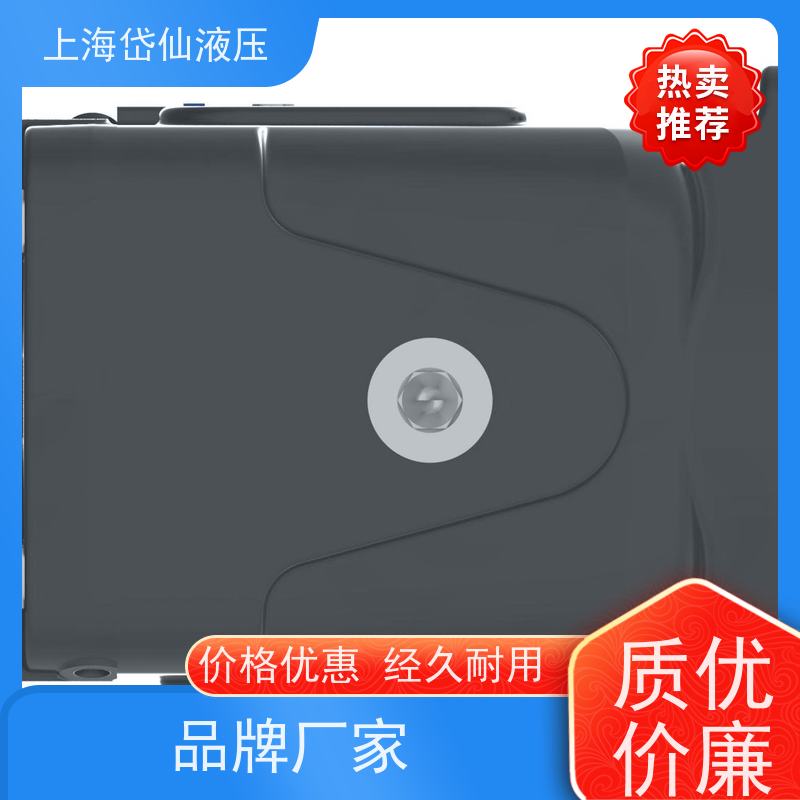 DANFOSS丹佛斯液压泵 421AK02583C 工程机械泵