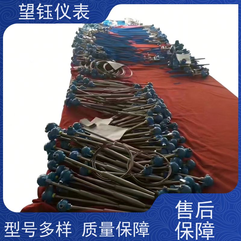望钰 装配式 Pt100铂铑热电偶 化工反应釜 生产厂家