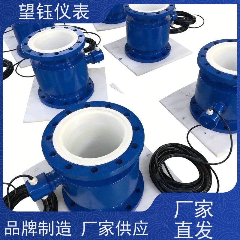 望钰DN20/DN25食品饮料电磁流量计  RS485通讯  规格齐全