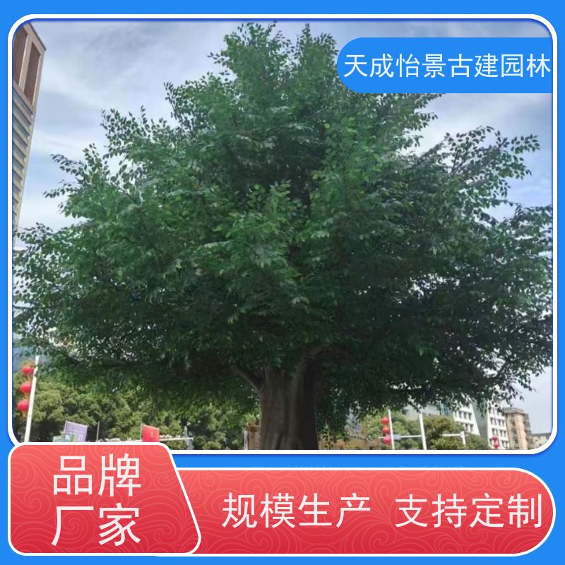怀安 人造水泥 假树 生产制作厂家 没有中间商差价