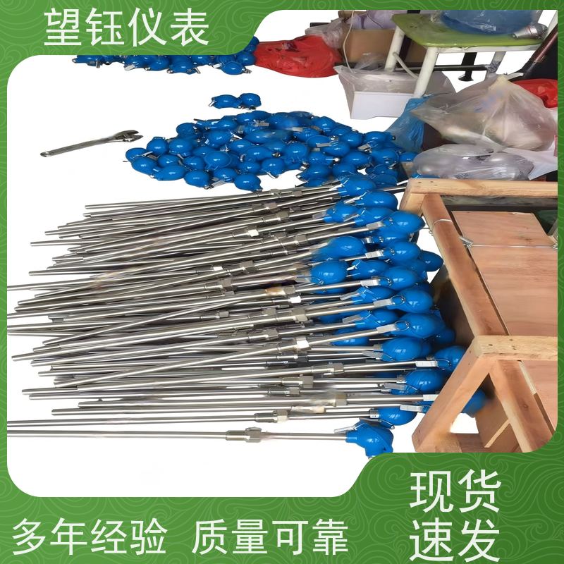 望钰 耐高温 WRQE型热电偶 化工反应釜 生产厂家