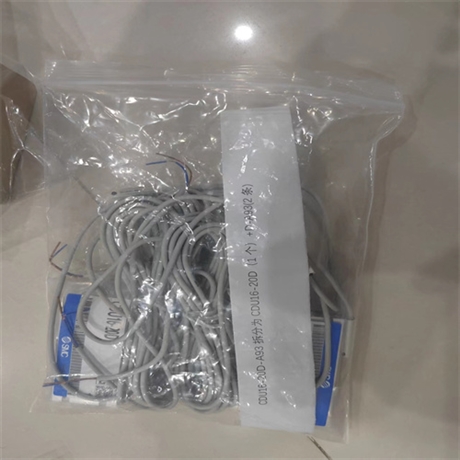 着重说明 SMC气缸CXSM25-100