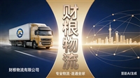 天津到益阳市物流公司/天津到益阳市专线物流/锂电池电瓶运输