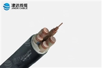 电缆  WDZ-YJY-0.6/1KV4