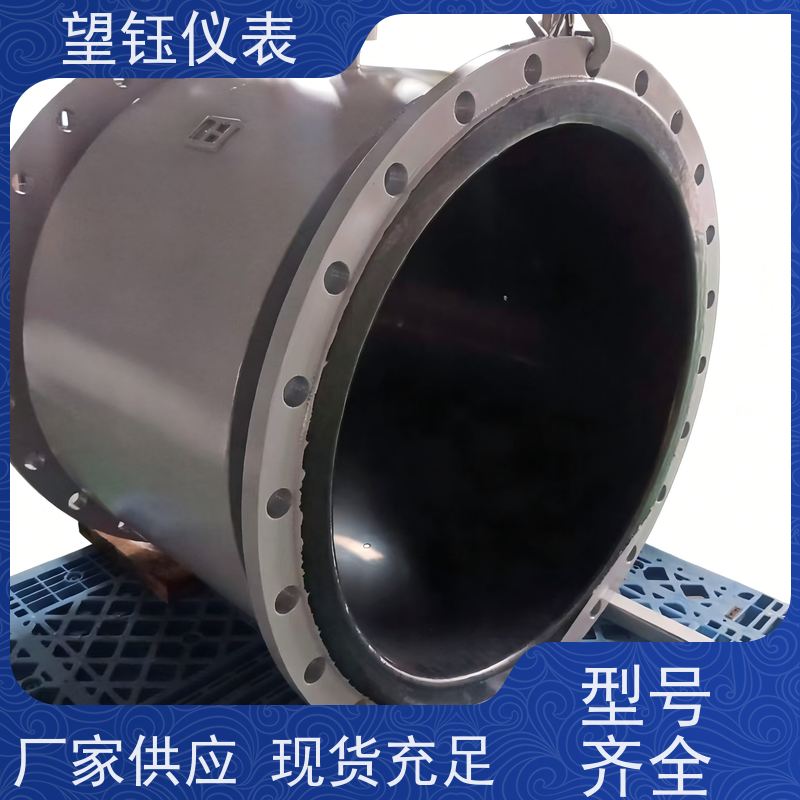 望钰DN100电镀废水电磁流量计  RS485通讯  厂家供应