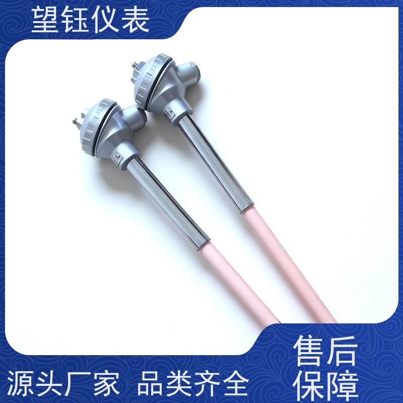 望钰 耐高温 装配式热电偶 化工反应釜 生产厂家