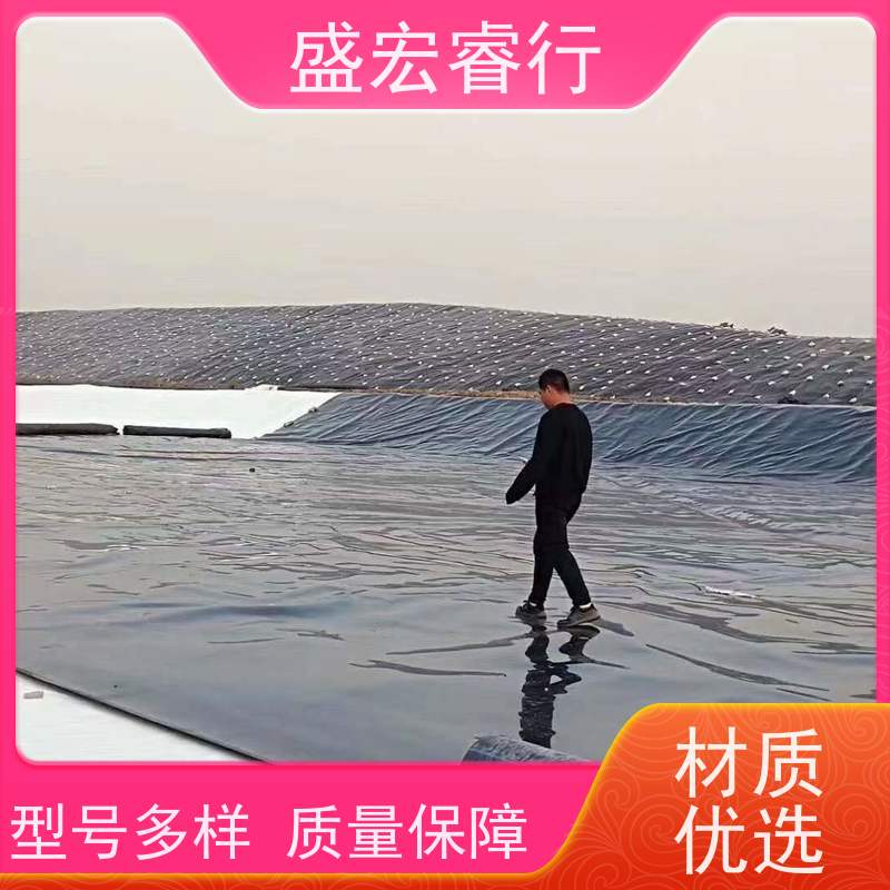 盛宏睿行 渗滤液调节池防.渗.膜 环保工程 防水膜 车间施工聚乙烯膜