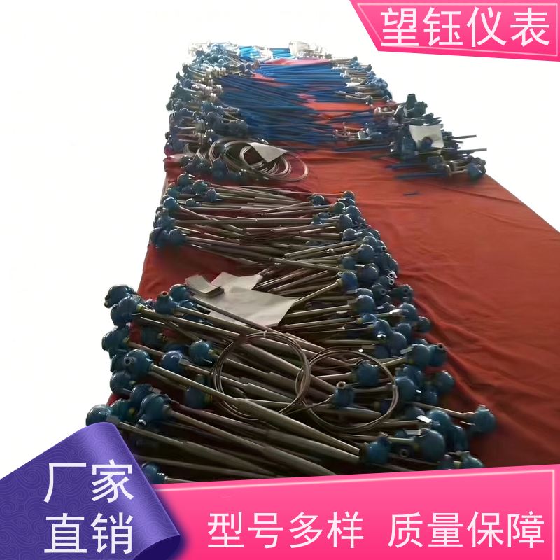 望钰 探针式 Pt100工业热电偶 热处理炉 厂家供应