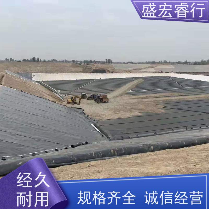 盛宏睿行 耐酸碱环保无异味复合防渗膜 PE土工膜 雨水收集用