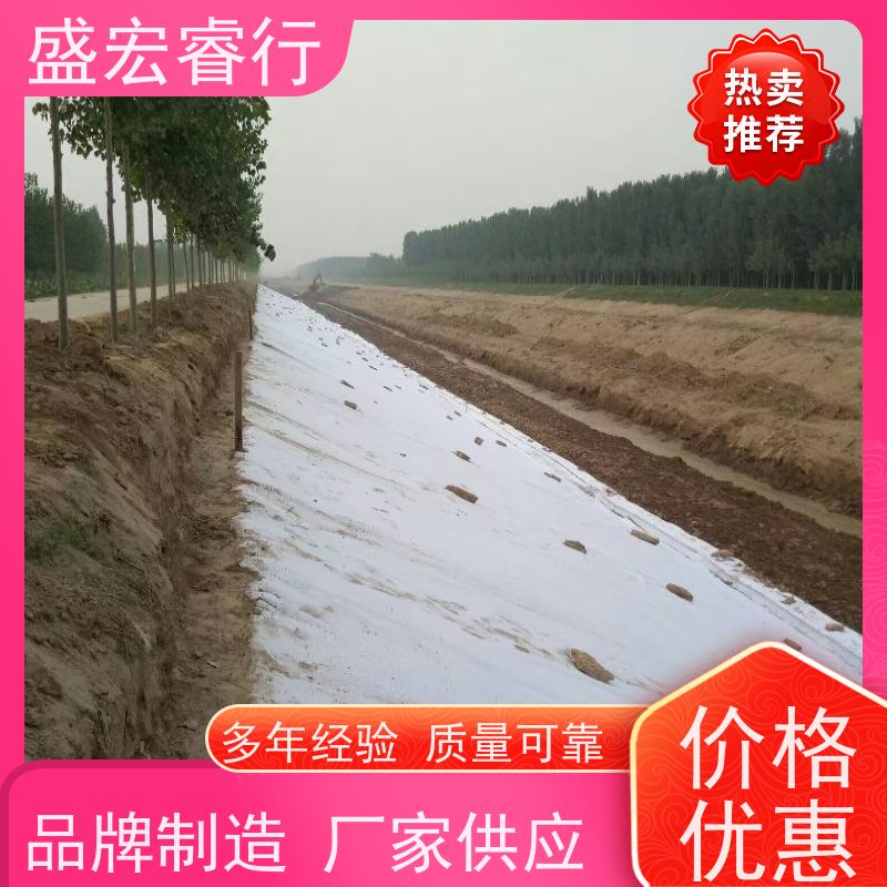 盛宏睿行 热烫土工布  海绵城市 透水反滤保湿工程布