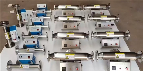 Silver ion sterilizer
