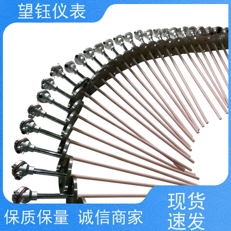 望钰 精度高 Pt1000螺纹热电偶 化工反应釜 生产厂家