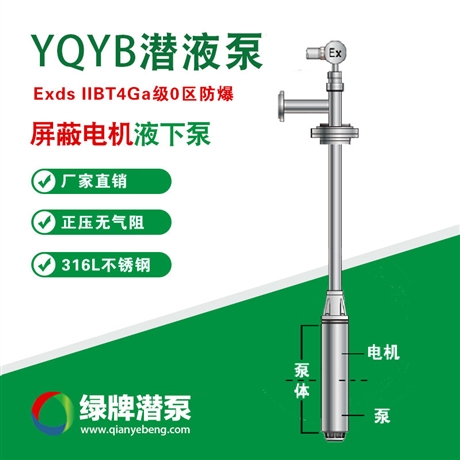 化工制药卫生级防爆不锈钢潜液泵，新型防爆液下泵，5年质保