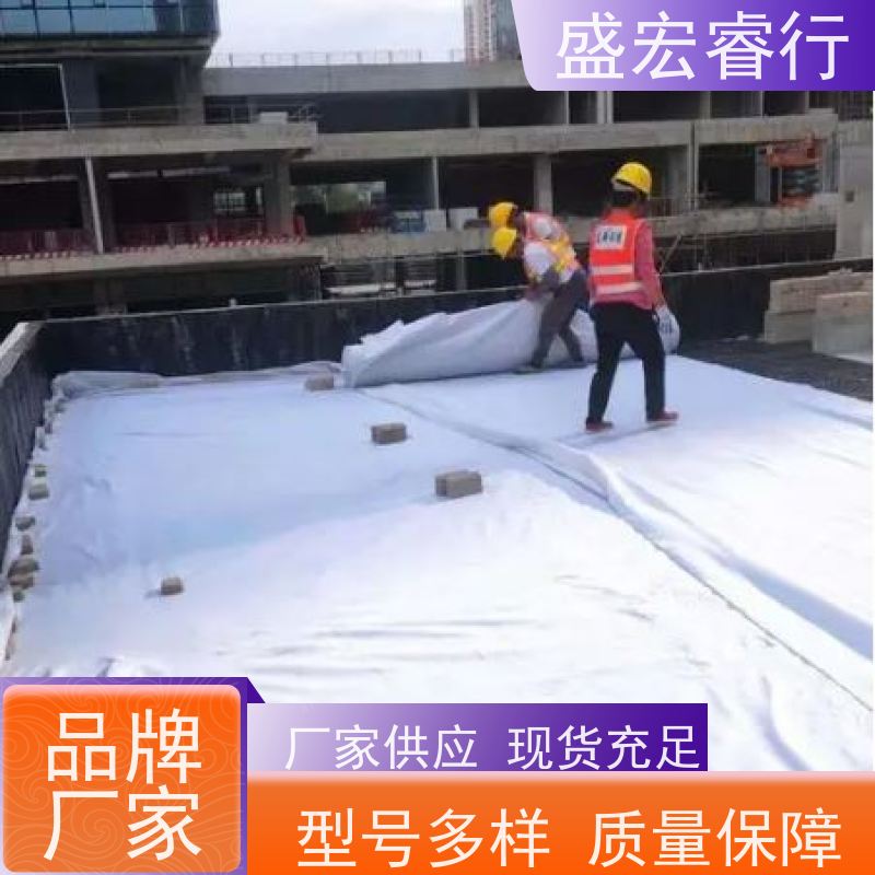 盛宏睿行 丙纶土工布  环保 道路养护桥梁保湿无纺布